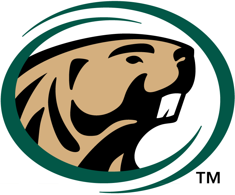 Bemidji State Beavers logos iron-ons